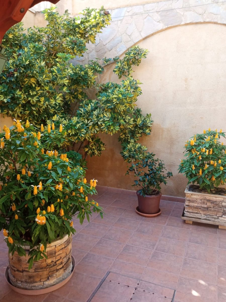 3 bedroom Villa for sale in Cala d'Or with pool garage - € 590,000 (Ref: 8529837)