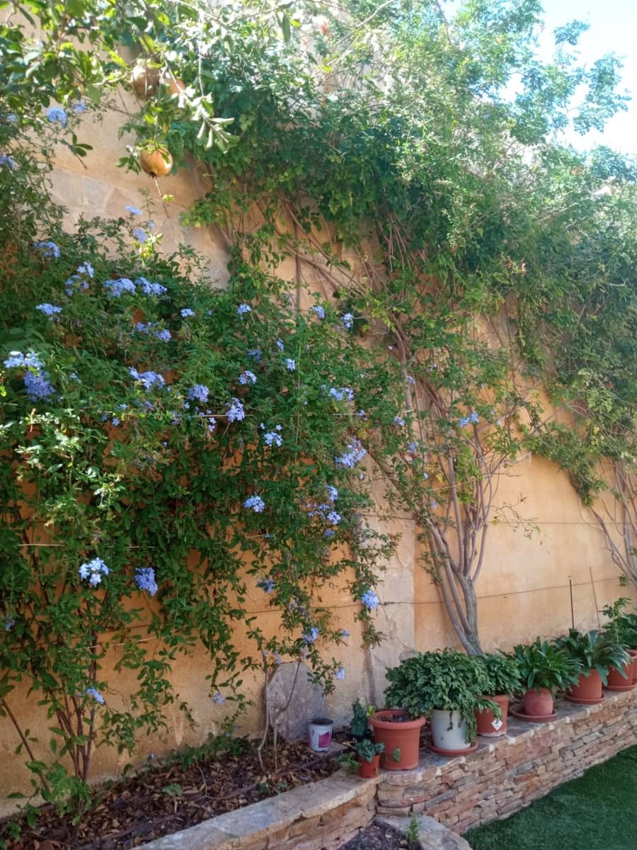 3 bedroom Villa for sale in Cala d'Or with pool garage - € 590,000 (Ref: 8529837)