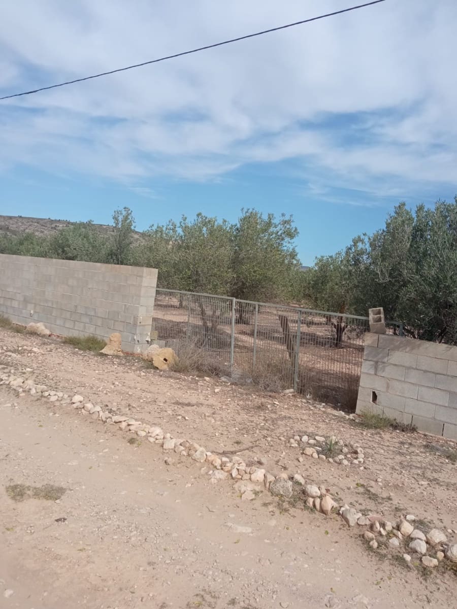 Grond te koop in Biar - € 88.000 (Ref: 8549532)