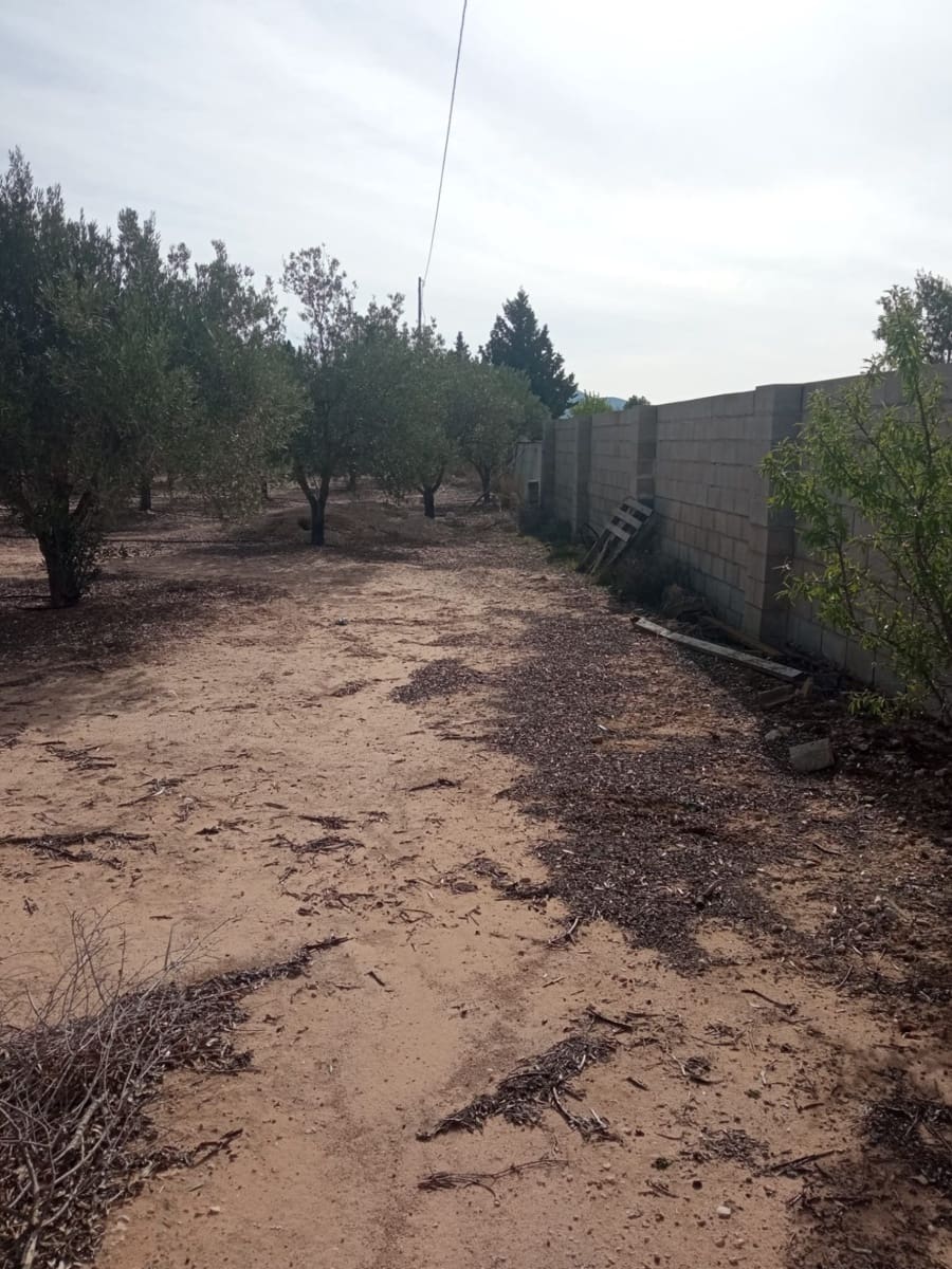 Grond te koop in Biar - € 88.000 (Ref: 8549532)