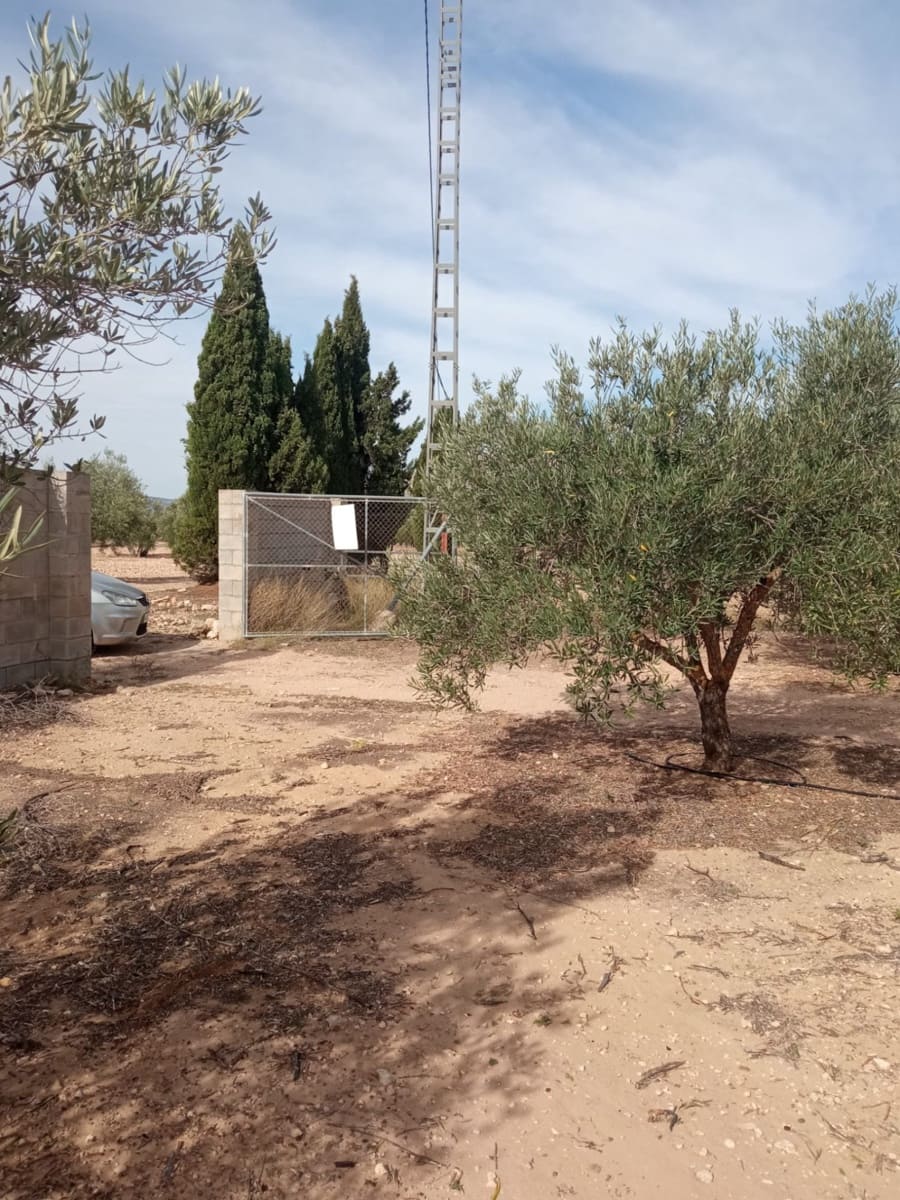 Grond te koop in Biar - € 88.000 (Ref: 8549532)