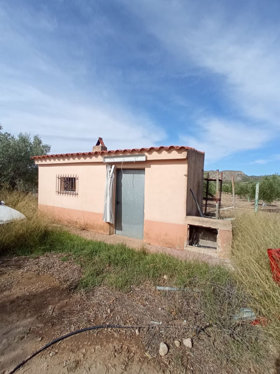 Grond te koop in Biar - € 88.000 (Ref: 8549532)