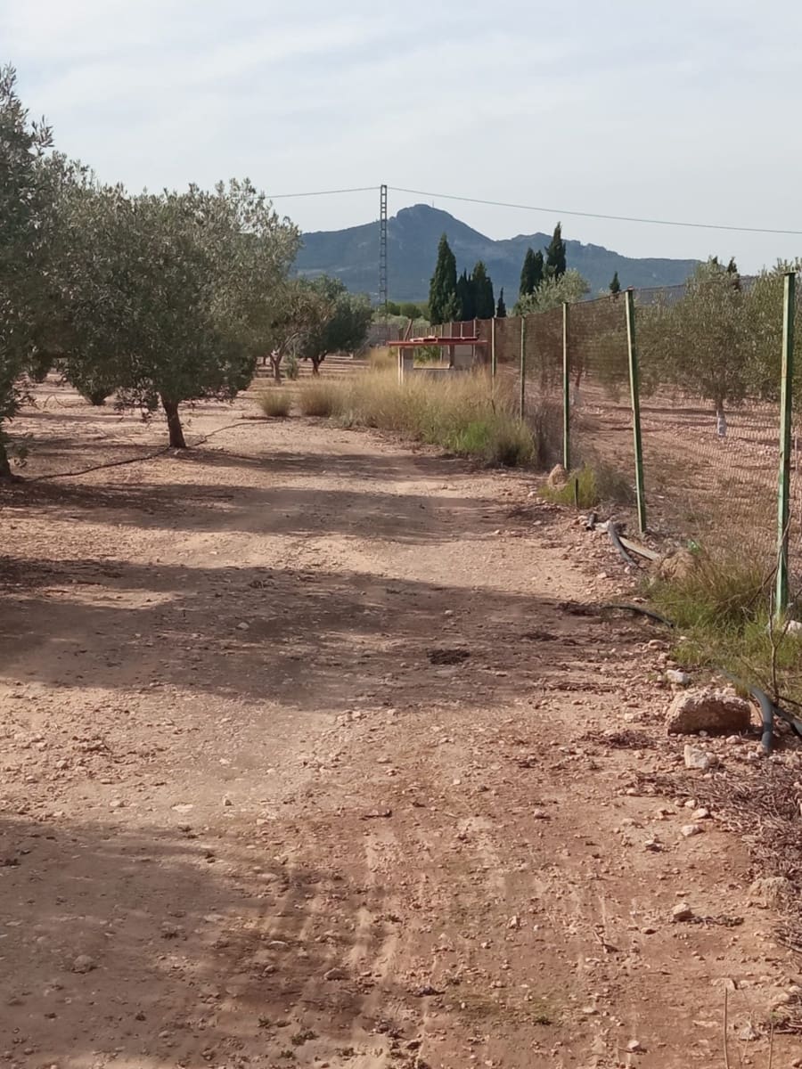 Grond te koop in Biar - € 88.000 (Ref: 8549532)