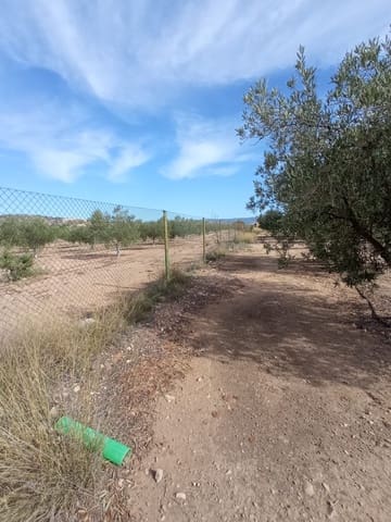 Mark till salu i Biar - 88 000 € (Ref: 8549532)