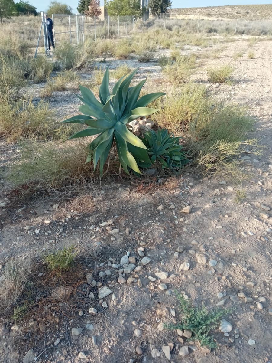 Byggegrund til salg i Muchamiel / Mutxamel - € 127.000 (Ref: 8561686)