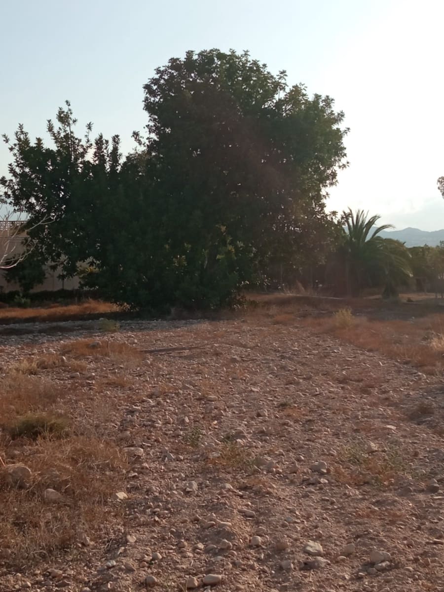 Byggegrund til salg i Muchamiel / Mutxamel - € 127.000 (Ref: 8561686)