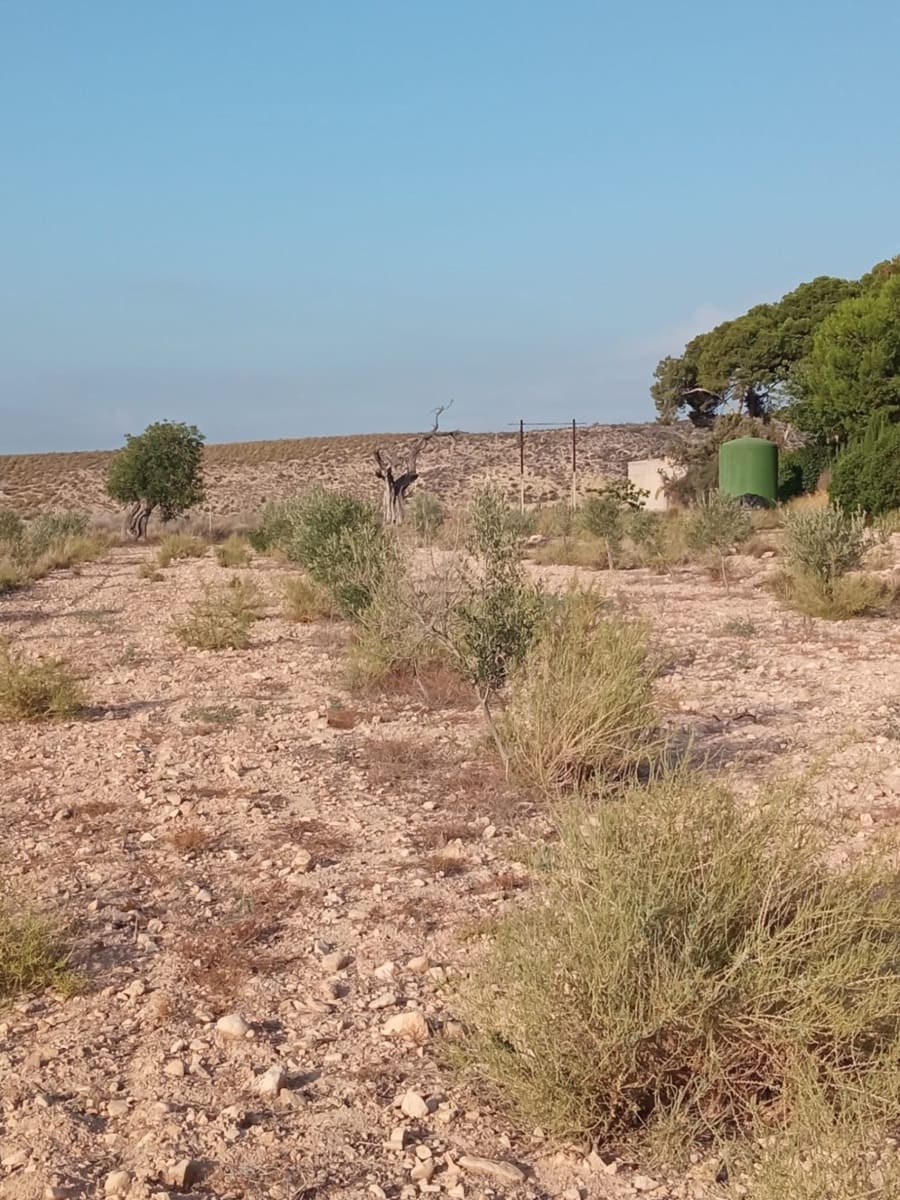 Byggegrund til salg i Muchamiel / Mutxamel - € 127.000 (Ref: 8561686)