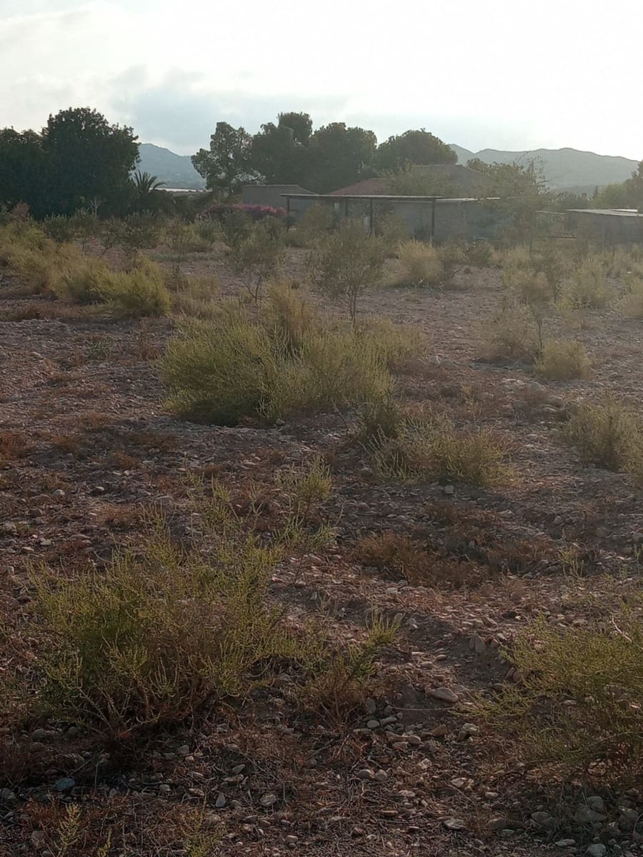 Byggegrund til salg i Muchamiel / Mutxamel - € 127.000 (Ref: 8561686)