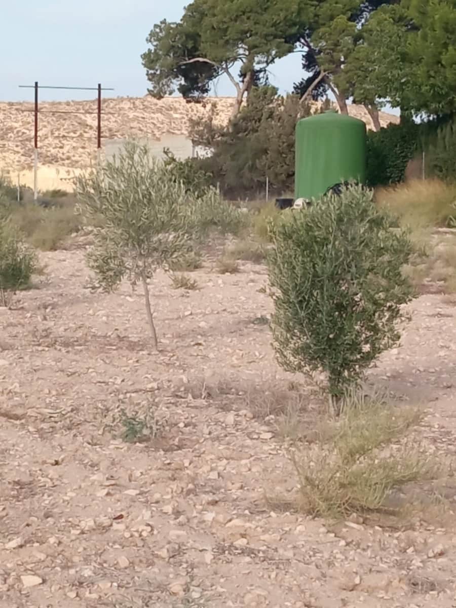 Byggegrund til salg i Muchamiel / Mutxamel - € 127.000 (Ref: 8561686)