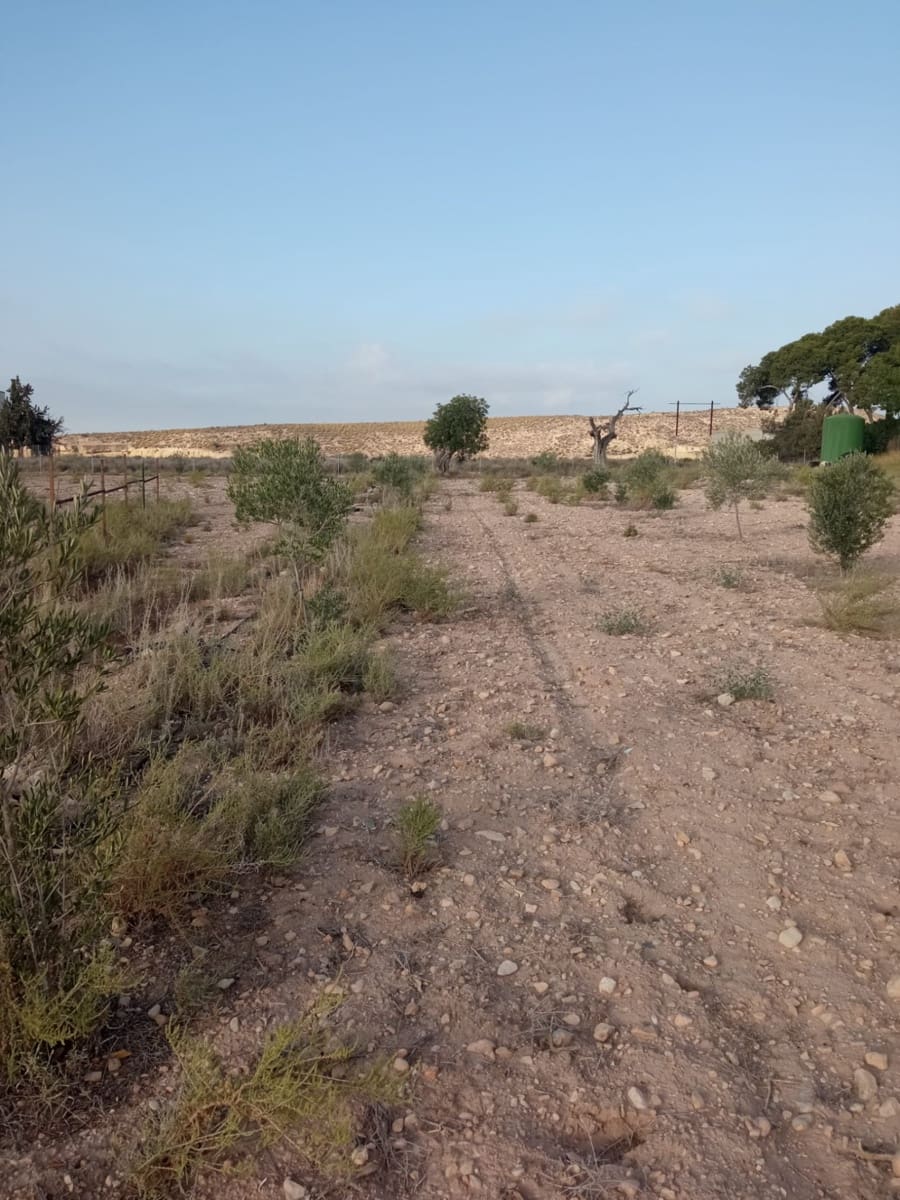 Byggegrund til salg i Muchamiel / Mutxamel - € 127.000 (Ref: 8561686)