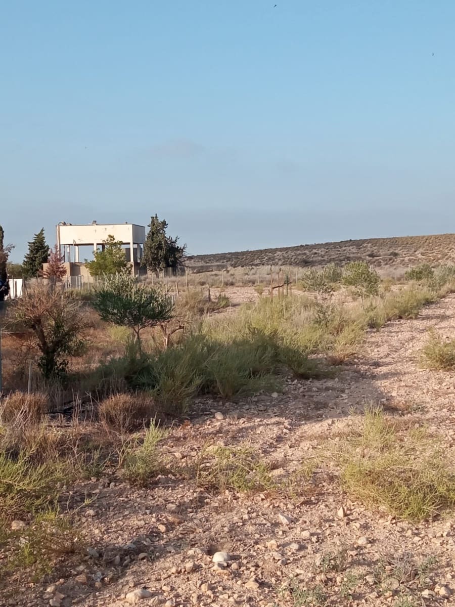 Byggegrund til salg i Muchamiel / Mutxamel - € 127.000 (Ref: 8561686)