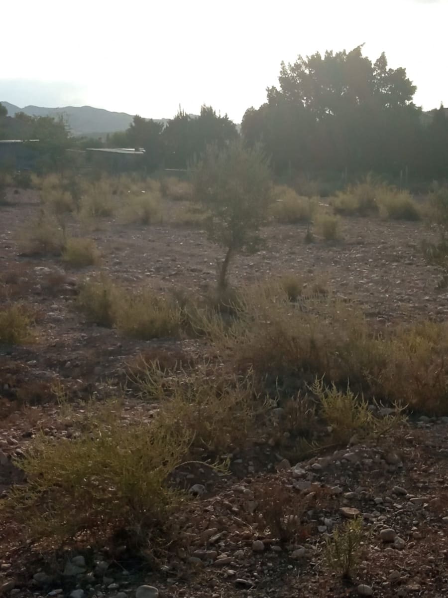 Byggegrund til salg i Muchamiel / Mutxamel - € 127.000 (Ref: 8561686)