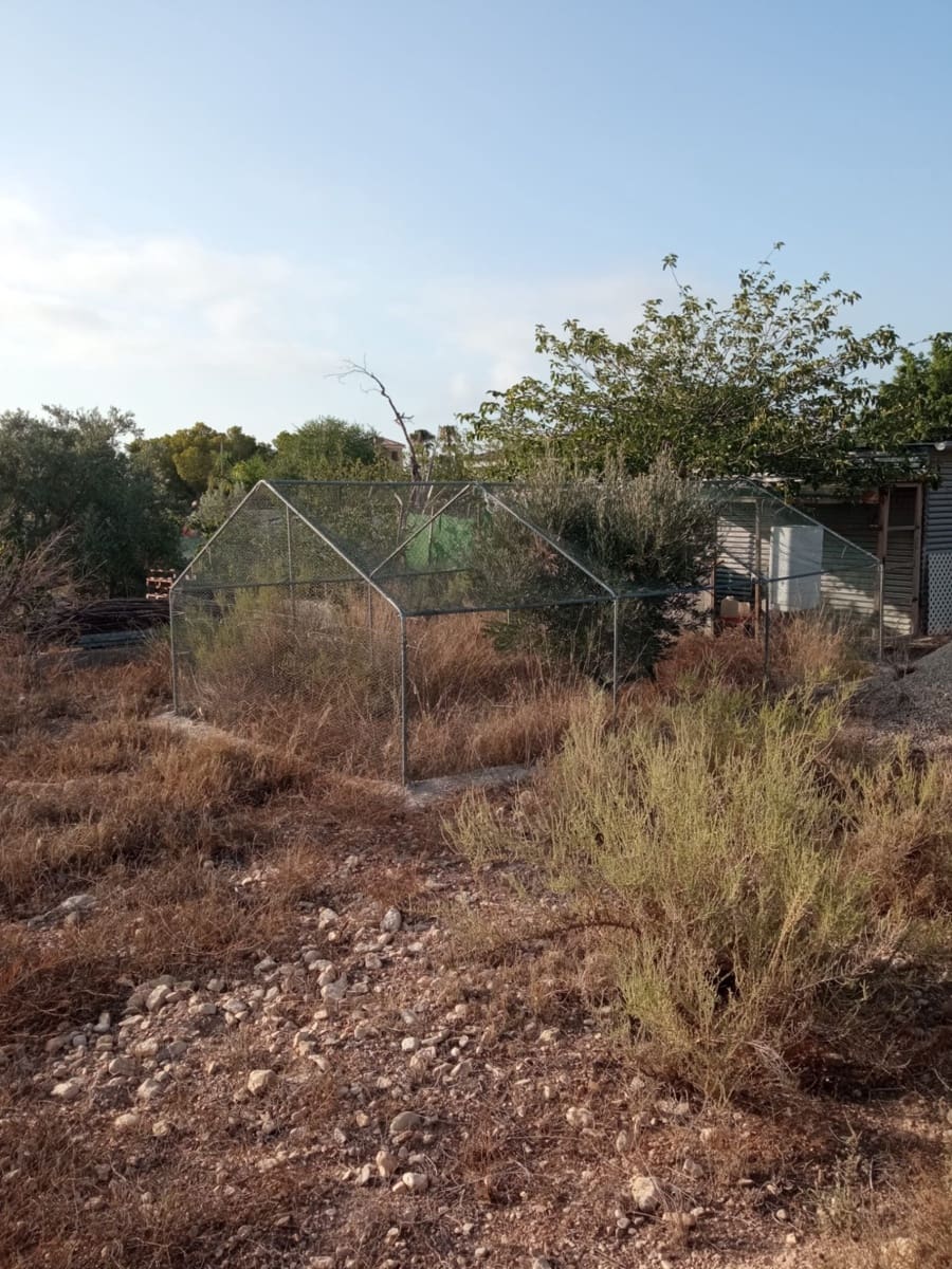 Byggegrund til salg i Muchamiel / Mutxamel - € 127.000 (Ref: 8561686)