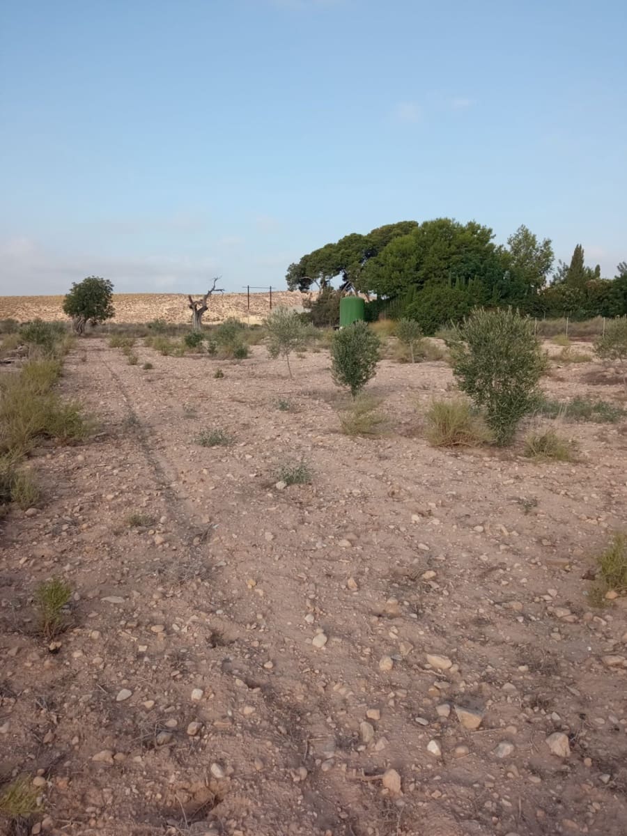 Byggegrund til salg i Muchamiel / Mutxamel - € 127.000 (Ref: 8561686)