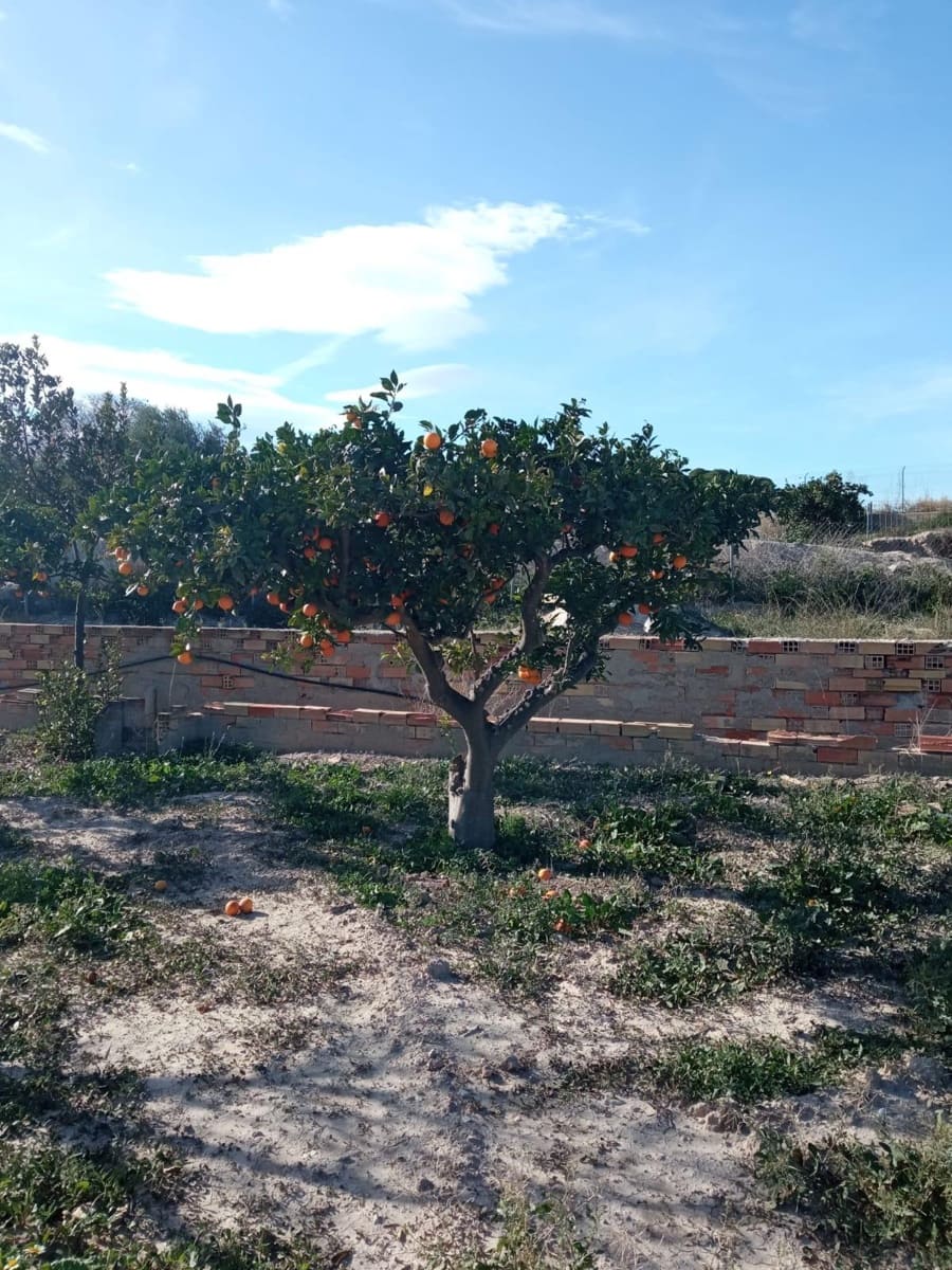 Grunde uden byggetilladelser til salg i Muchamiel / Mutxamel - € 265.000 (Ref: 8751067)