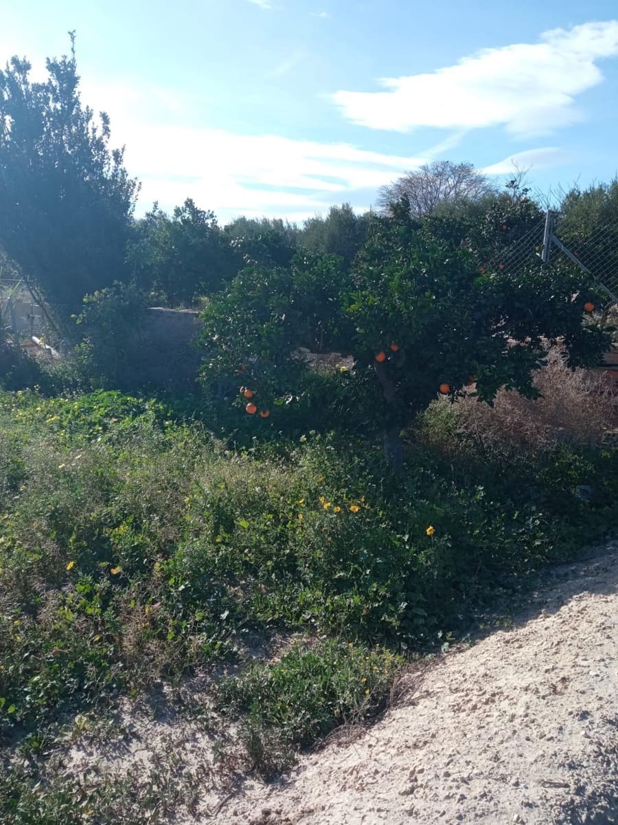 Grunde uden byggetilladelser til salg i Muchamiel / Mutxamel - € 265.000 (Ref: 8751067)