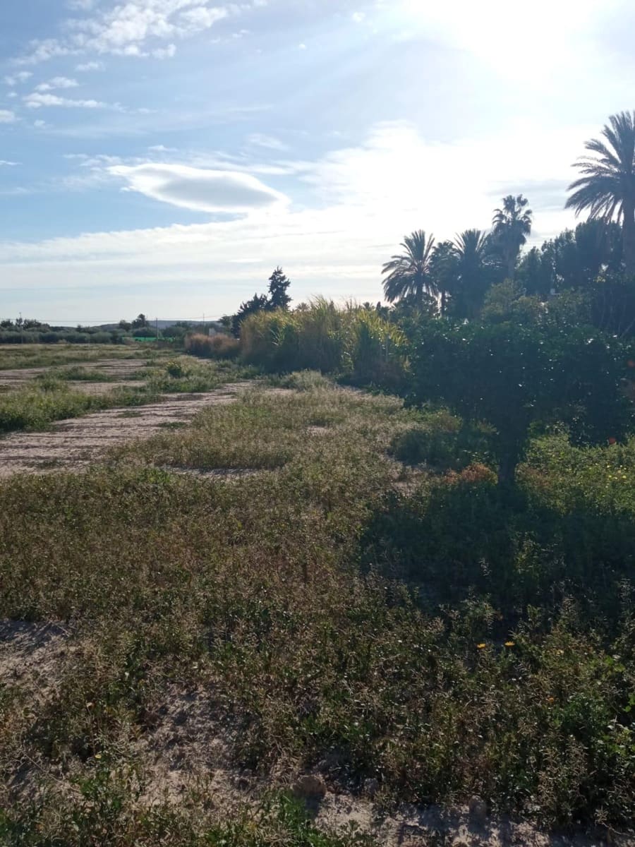 Grunde uden byggetilladelser til salg i Muchamiel / Mutxamel - € 265.000 (Ref: 8751067)