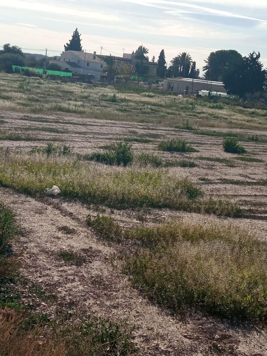 Grunde uden byggetilladelser til salg i Muchamiel / Mutxamel - € 265.000 (Ref: 8751067)