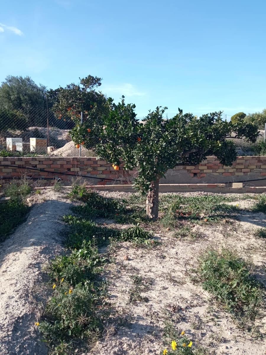 Grunde uden byggetilladelser til salg i Muchamiel / Mutxamel - € 265.000 (Ref: 8751067)