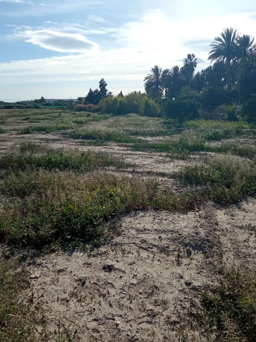 Grunde uden byggetilladelser til salg i Muchamiel / Mutxamel - € 265.000 (Ref: 8751067)