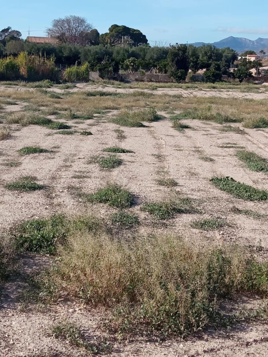 Grunde uden byggetilladelser til salg i Muchamiel / Mutxamel - € 265.000 (Ref: 8751067)