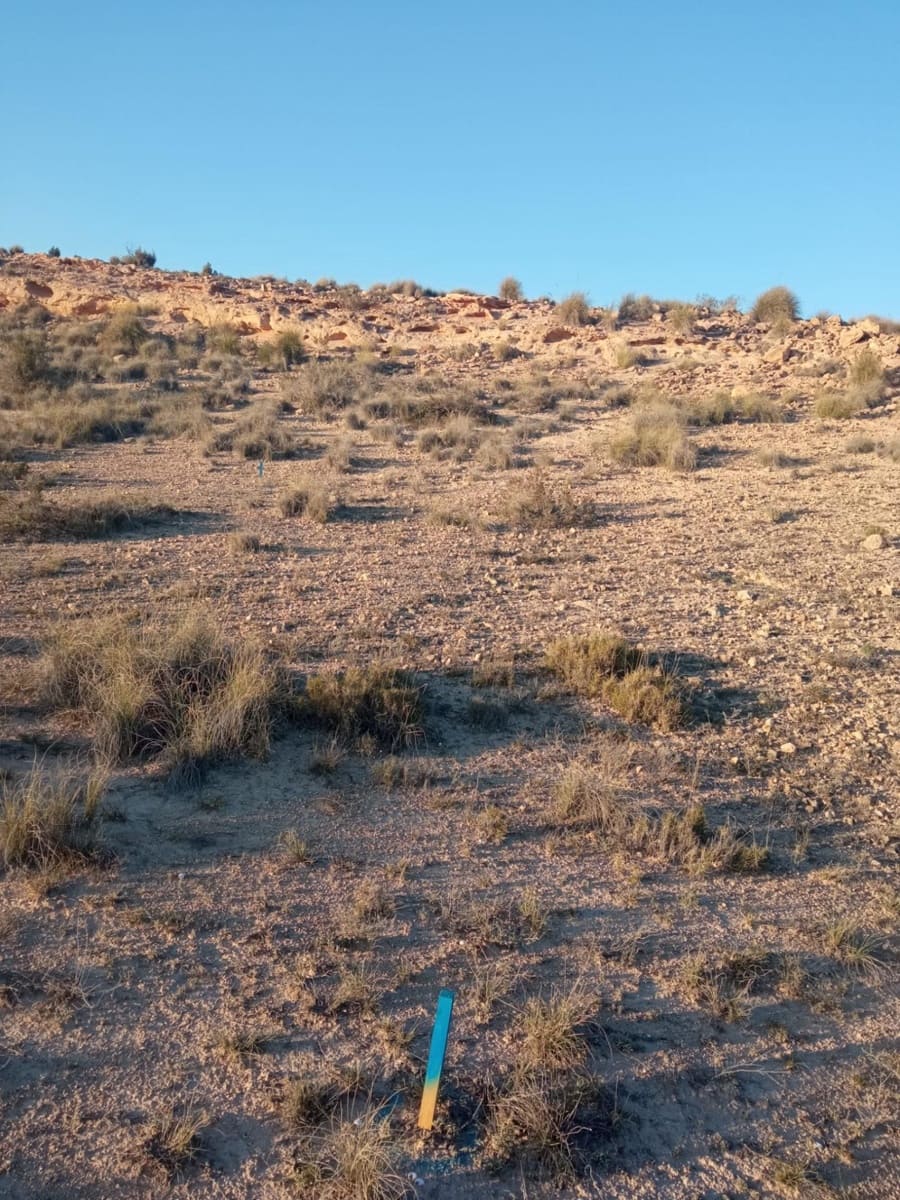 Byggetomt til salgs i Muchamiel / Mutxamel - € 86 000 (Ref: 8924045)