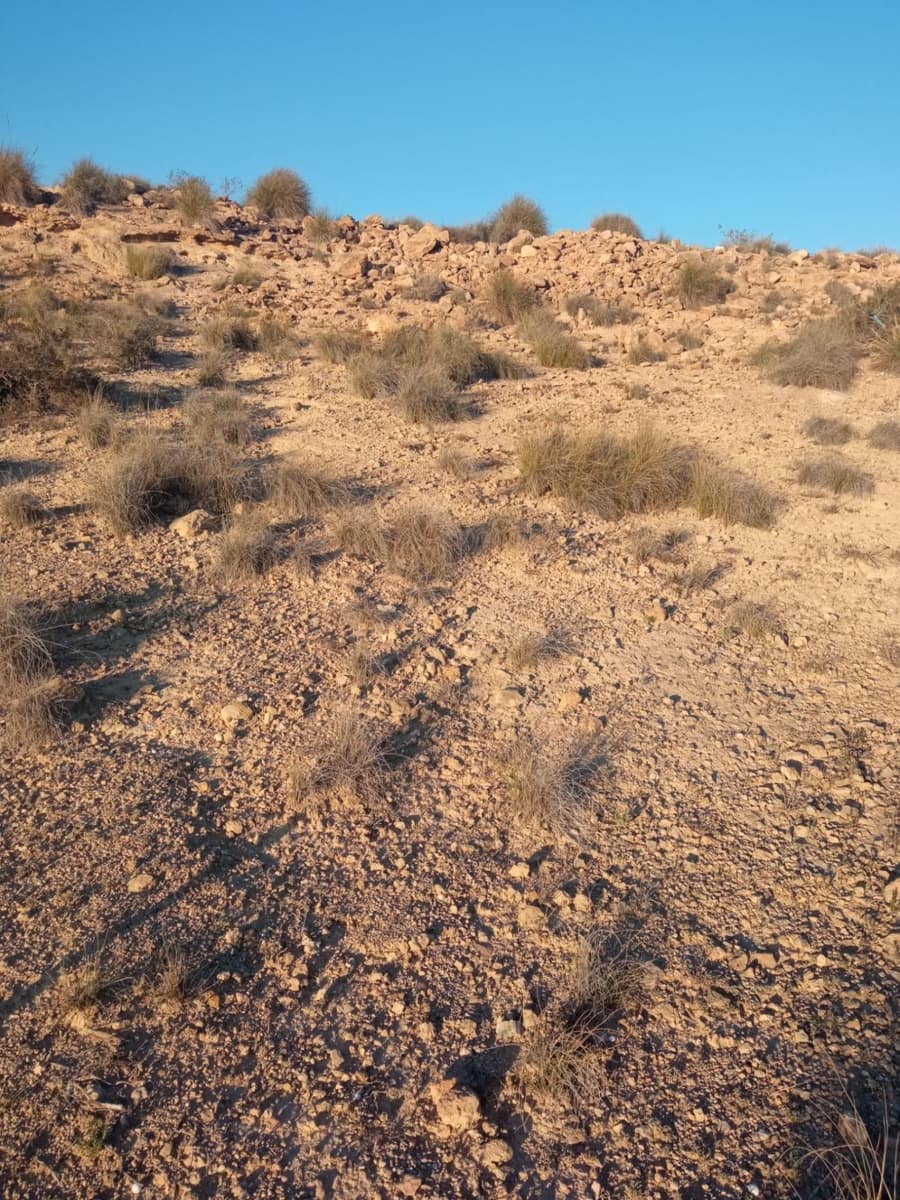 Byggetomt til salgs i Muchamiel / Mutxamel - € 86 000 (Ref: 8924045)