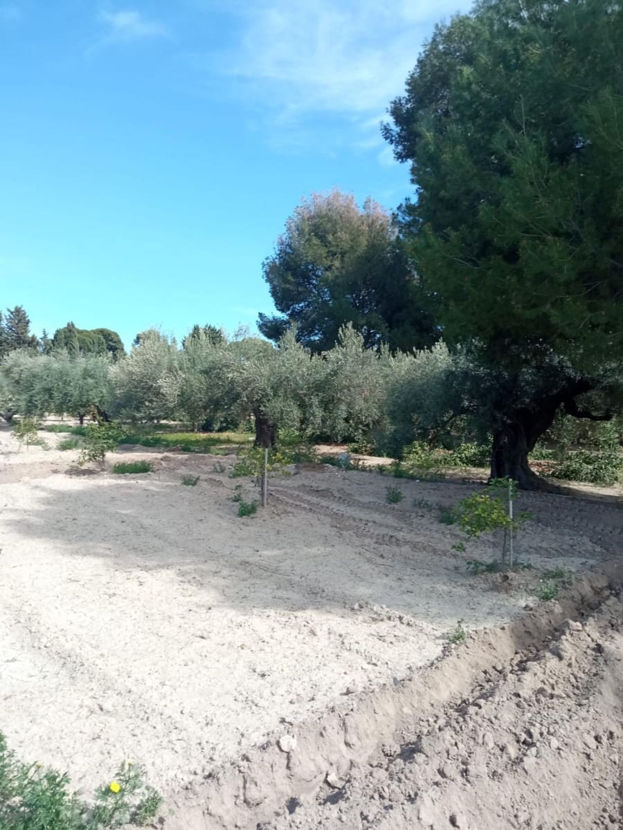 5 sypialnia Willa na sprzedaż w Muchamiel / Mutxamel z garażem - 1 600 000 € (Ref: 8930393)