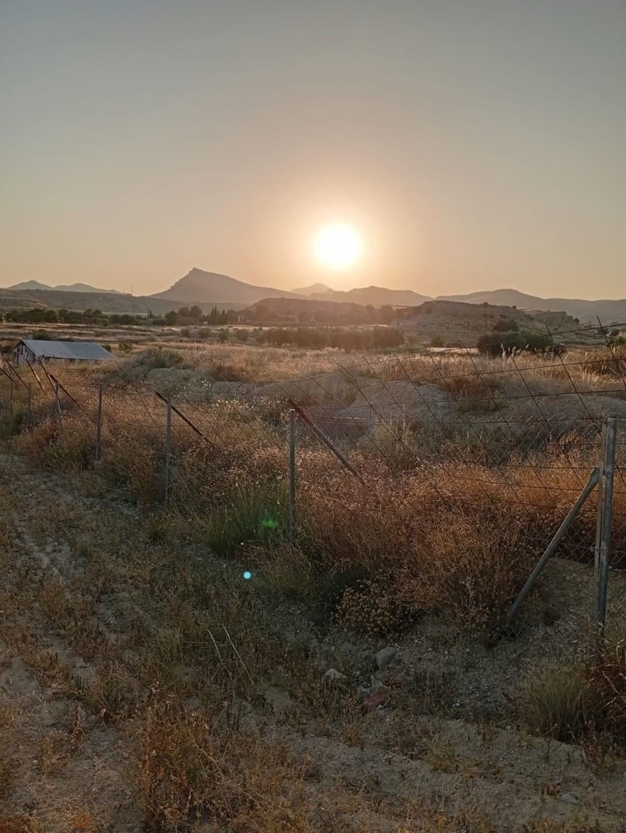 Grunde uden byggetilladelser til salg i Alicante by - € 139.900 (Ref: 9128260)