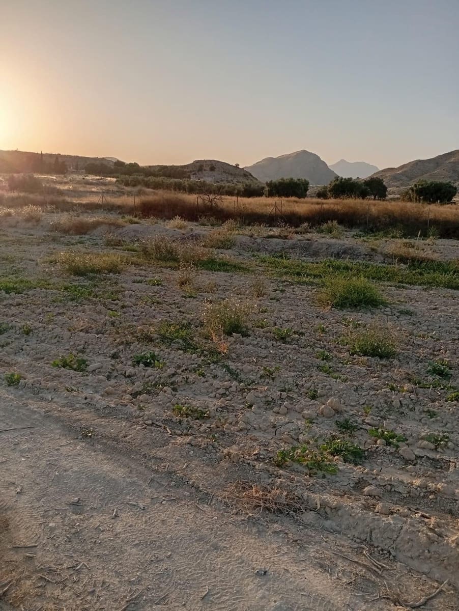 Grunde uden byggetilladelser til salg i Alicante by - € 139.900 (Ref: 9128260)