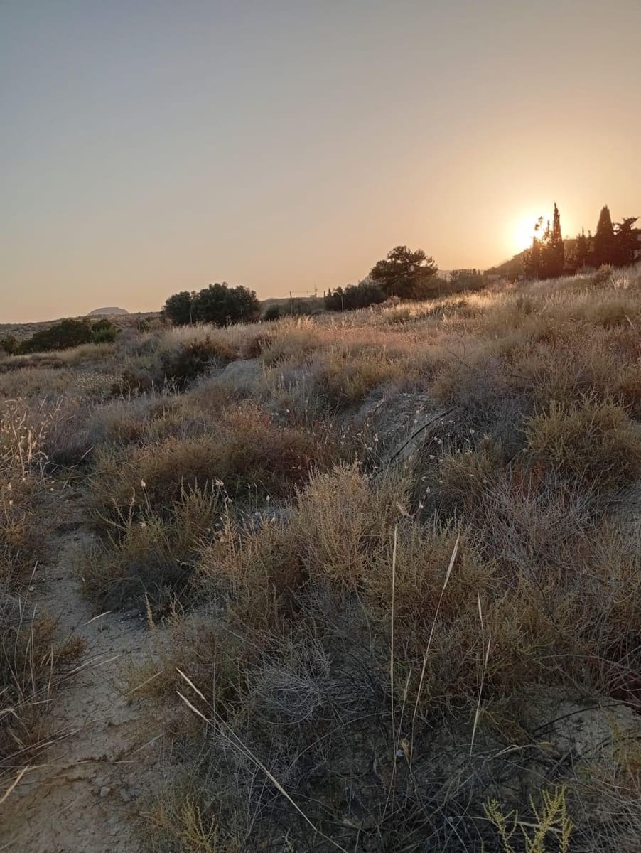 Grunde uden byggetilladelser til salg i Alicante by - € 139.900 (Ref: 9128260)