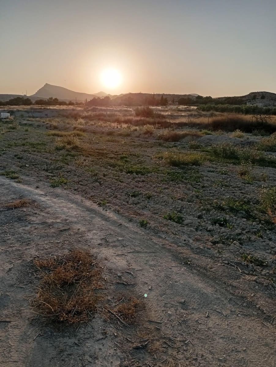 Grunde uden byggetilladelser til salg i Alicante by - € 139.900 (Ref: 9128260)