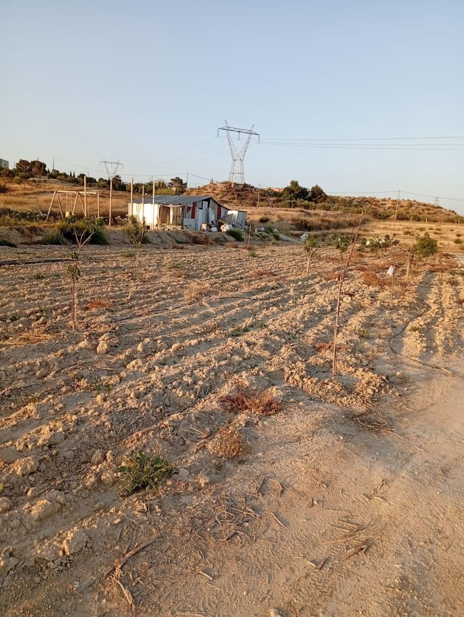 Grunde uden byggetilladelser til salg i Alicante by - € 139.900 (Ref: 9128260)