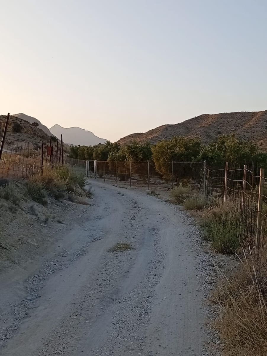 Grunde uden byggetilladelser til salg i Alicante by - € 139.900 (Ref: 9128260)