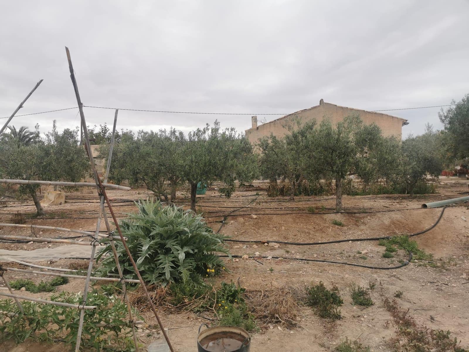 3 soverom Finca/Herregård til salgs i Muchamiel / Mutxamel med svømmebasseng garasje - € 255 000 (Ref: 9181006)