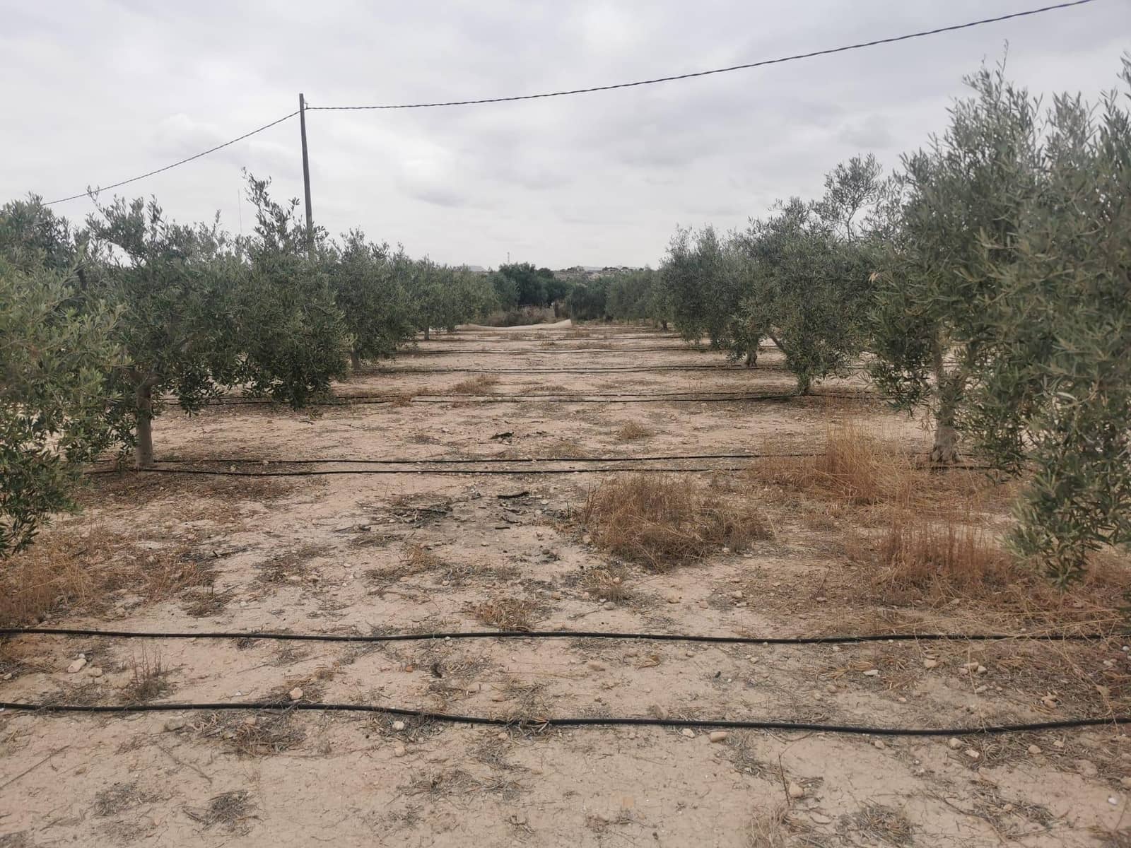 3 soverom Finca/Herregård til salgs i Muchamiel / Mutxamel med svømmebasseng garasje - € 255 000 (Ref: 9181006)