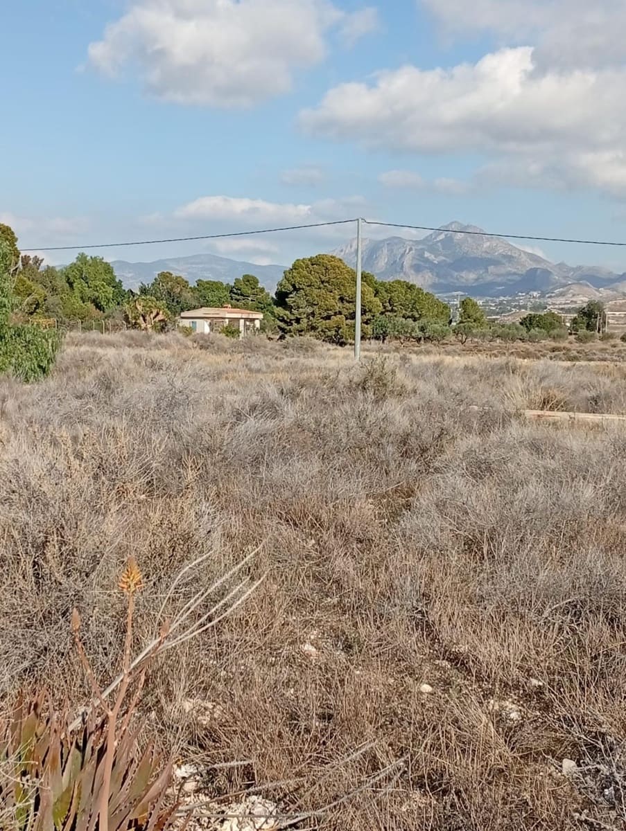 Mark till salu i Muchamiel / Mutxamel - 239 000 € (Ref: 9462108)