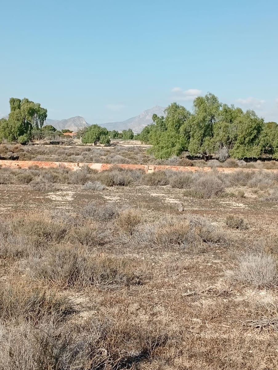 Mark till salu i Muchamiel / Mutxamel - 239 000 € (Ref: 9462108)