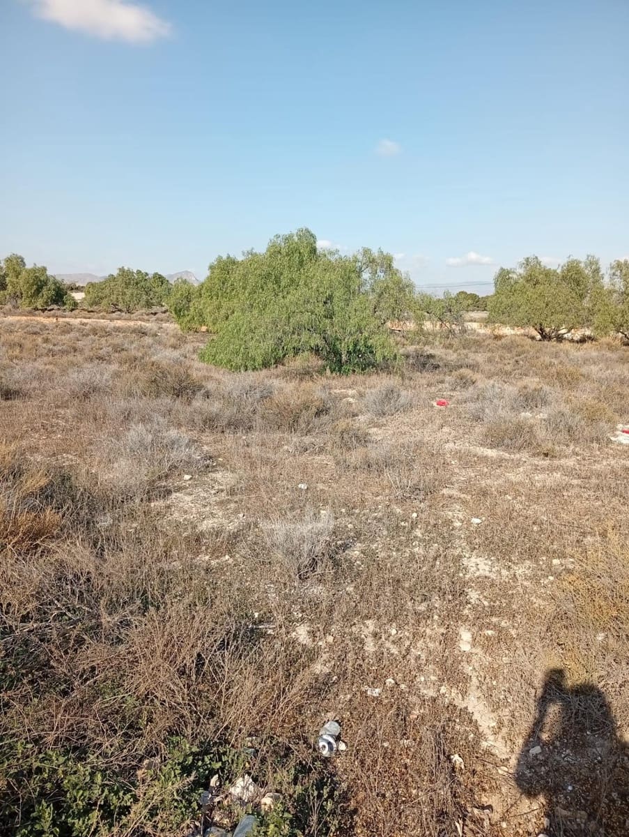 Mark till salu i Muchamiel / Mutxamel - 239 000 € (Ref: 9462108)