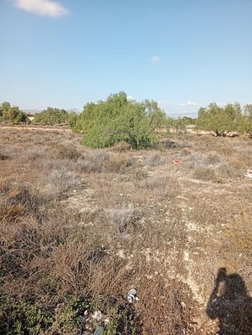 Mark till salu i Muchamiel / Mutxamel - 239 000 € (Ref: 9462108)