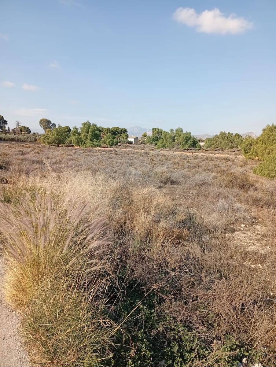 Mark till salu i Muchamiel / Mutxamel - 239 000 € (Ref: 9462108)