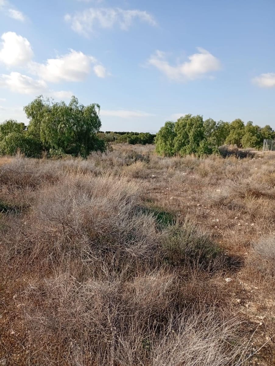 Mark till salu i Muchamiel / Mutxamel - 239 000 € (Ref: 9462108)