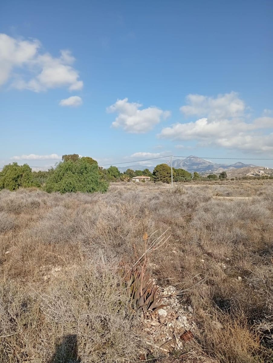 Mark till salu i Muchamiel / Mutxamel - 239 000 € (Ref: 9462108)