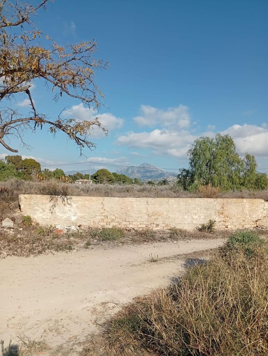 Mark till salu i Muchamiel / Mutxamel - 239 000 € (Ref: 9462108)