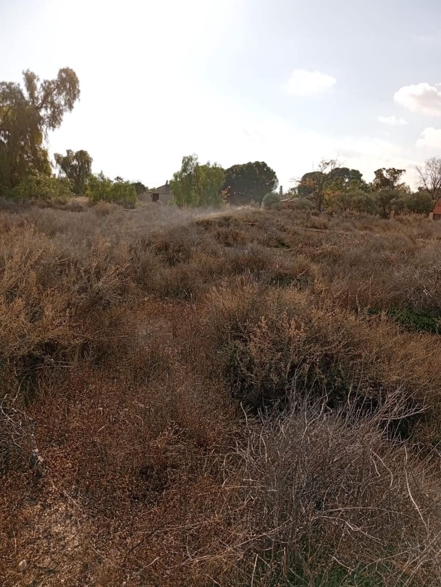 Mark till salu i Muchamiel / Mutxamel - 239 000 € (Ref: 9462108)