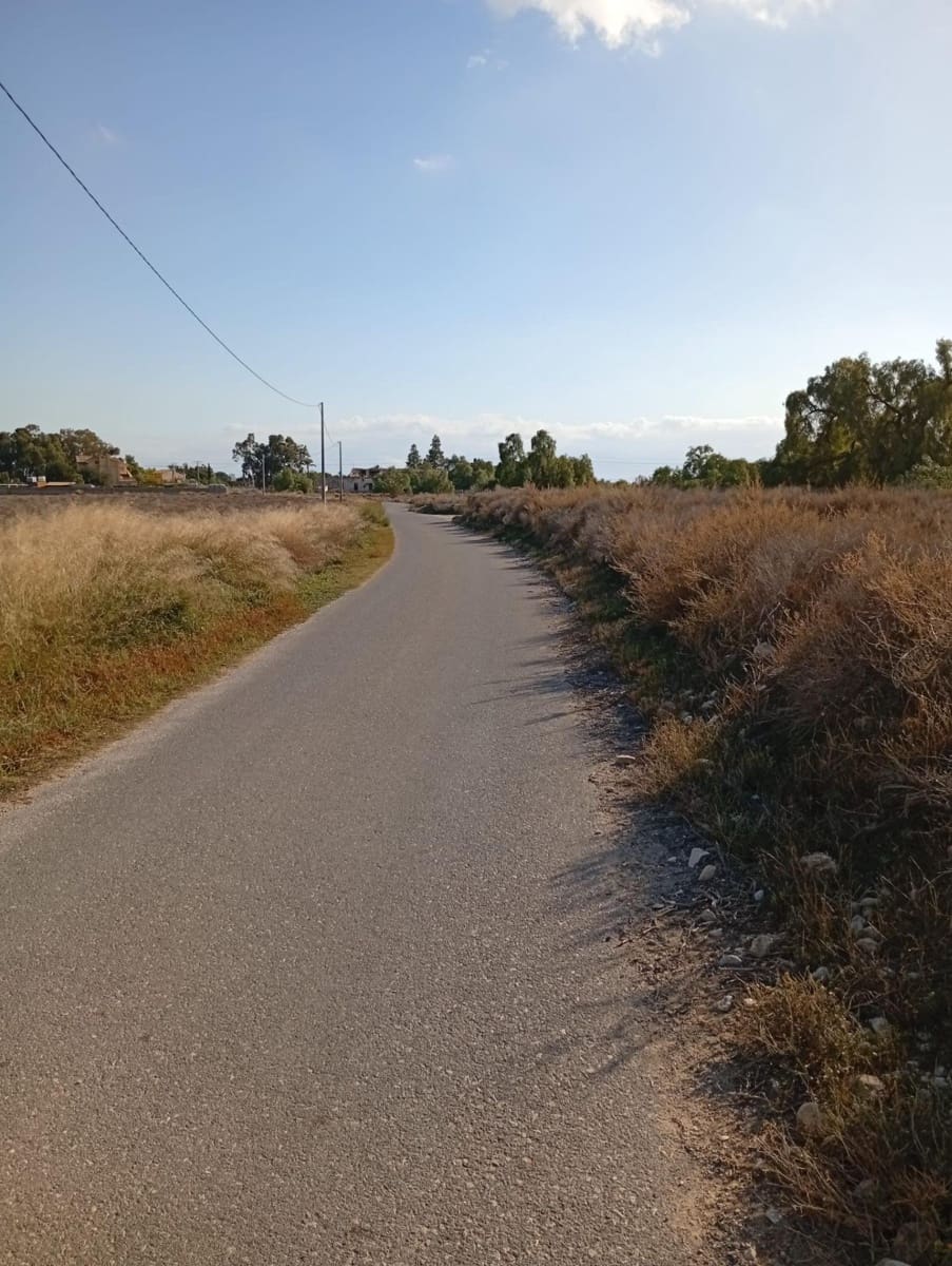 Mark till salu i Muchamiel / Mutxamel - 239 000 € (Ref: 9462108)