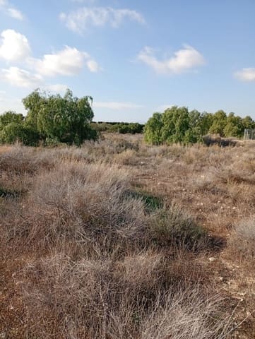 Mark till salu i Muchamiel / Mutxamel - 239 000 € (Ref: 9462108)