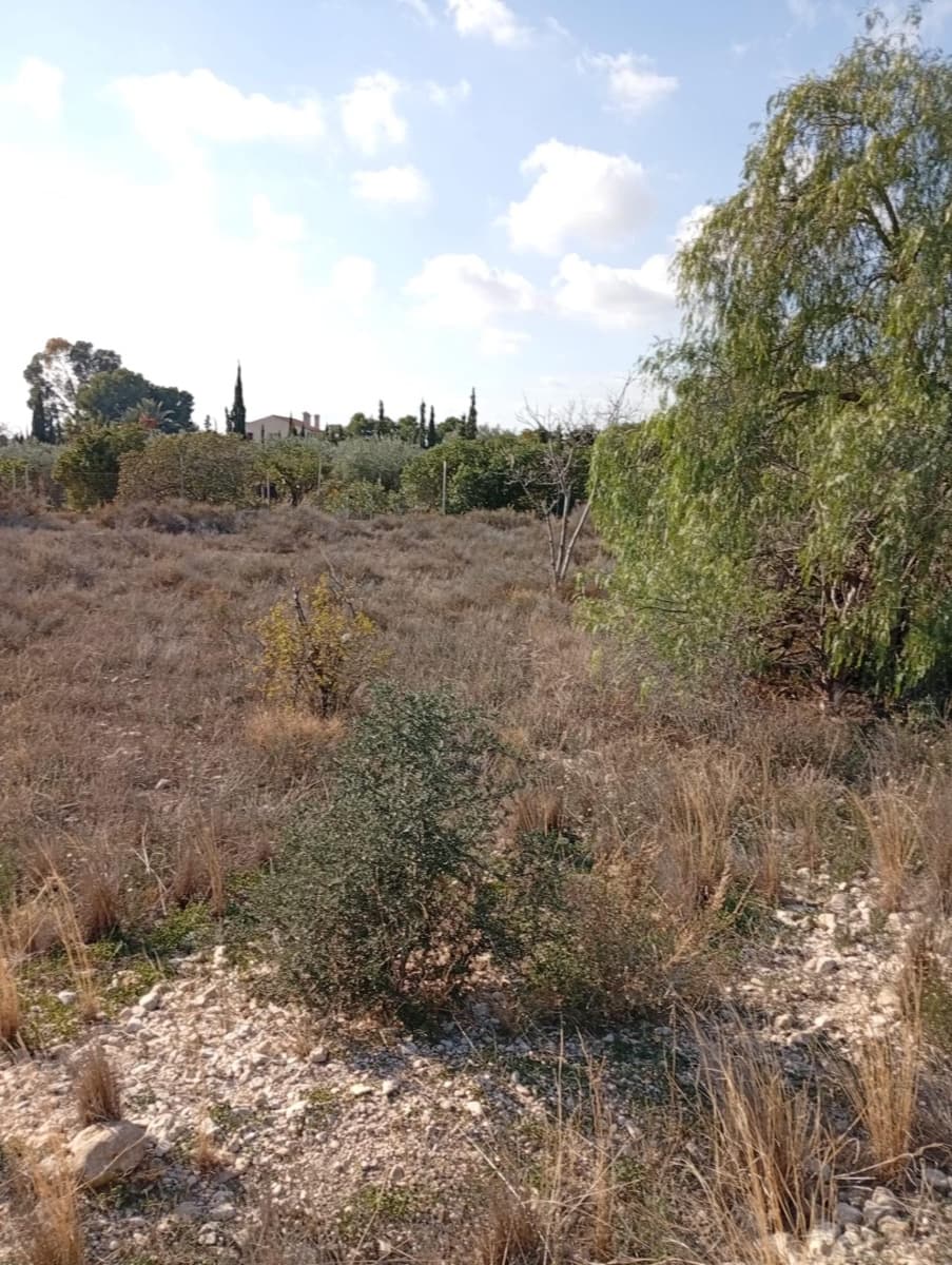 Mark till salu i Muchamiel / Mutxamel - 239 000 € (Ref: 9462108)