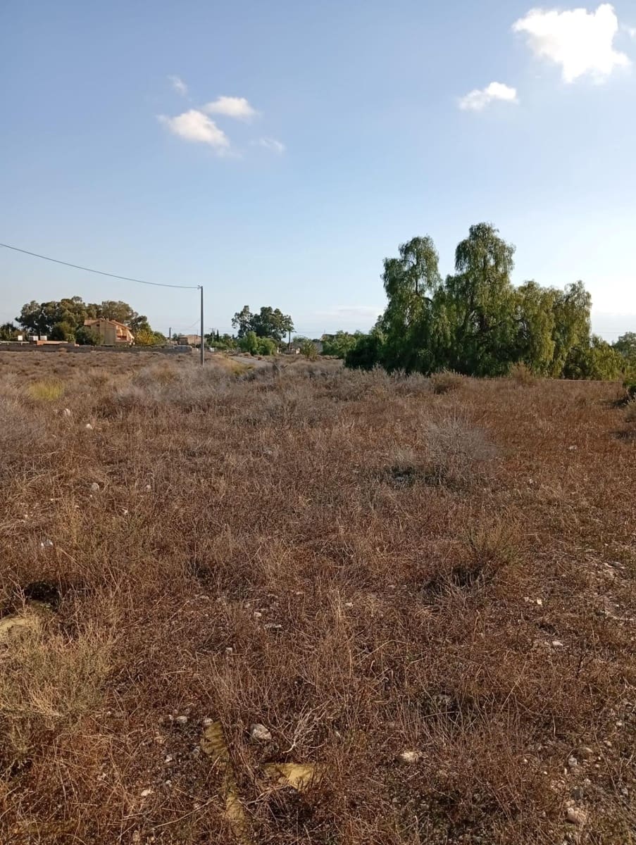 Mark till salu i Muchamiel / Mutxamel - 239 000 € (Ref: 9462108)