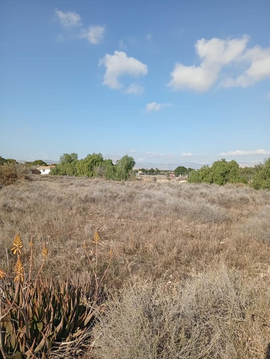 Mark till salu i Muchamiel / Mutxamel - 239 000 € (Ref: 9462108)